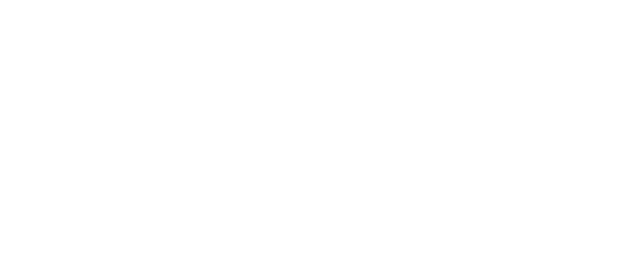 Pilott SACAA Aviation Electronic Logbook